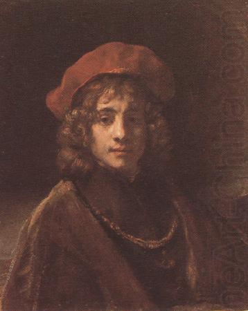 REMBRANDT Harmenszoon van Rijn Portrait of Titus (mk33) china oil painting image